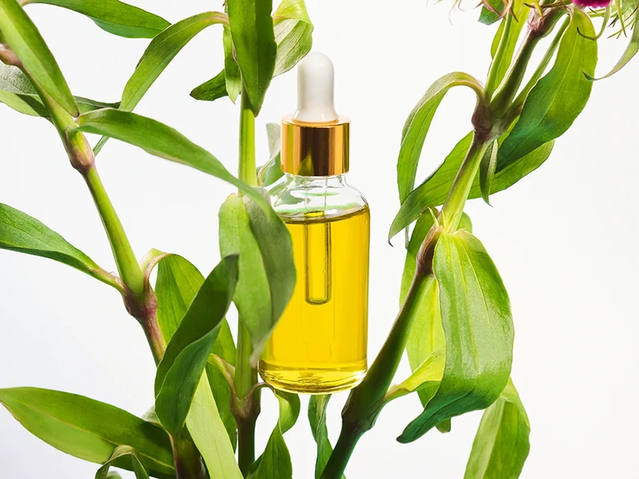 What Is the Best Tea Tree Oil to Use for Nail Infections?
